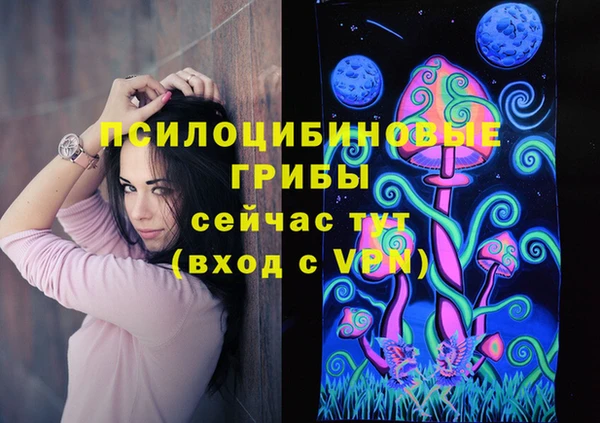 ECSTASY Богородицк